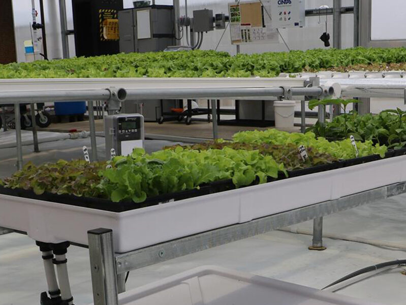 Hydroponic tables