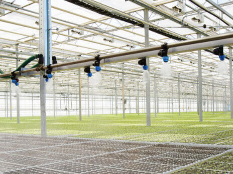 greenhouse irrigation