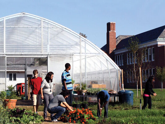 Premium Greenhouse