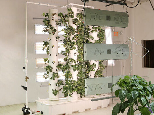 Aeroponics system