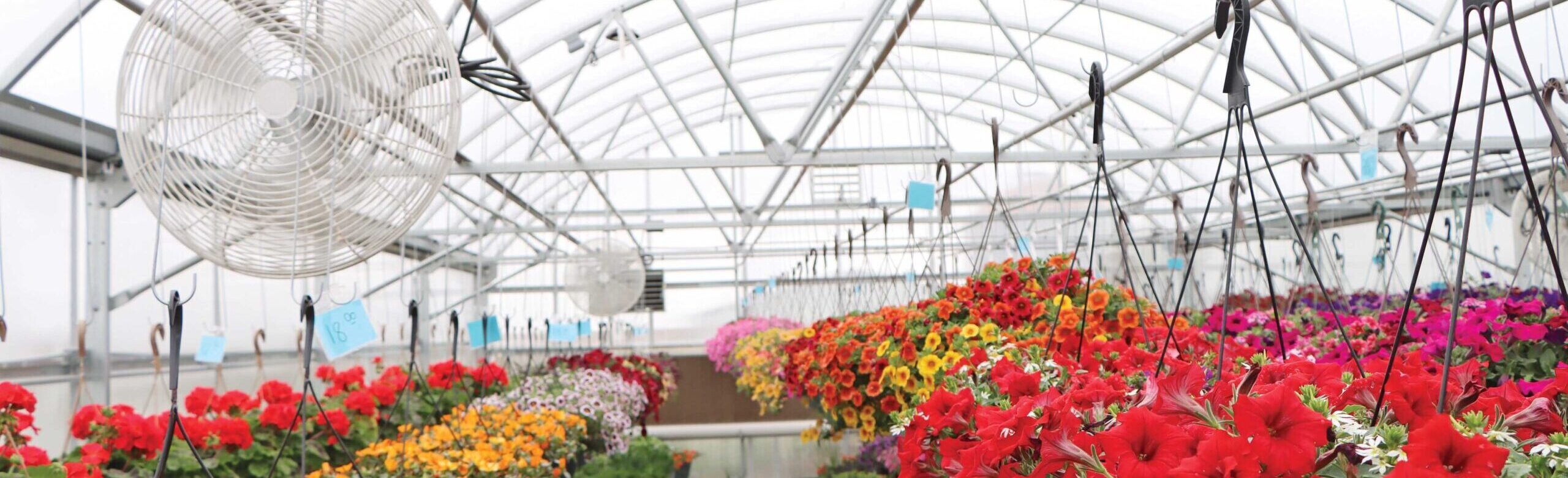 retail greenhouse with HAF fans for cooling