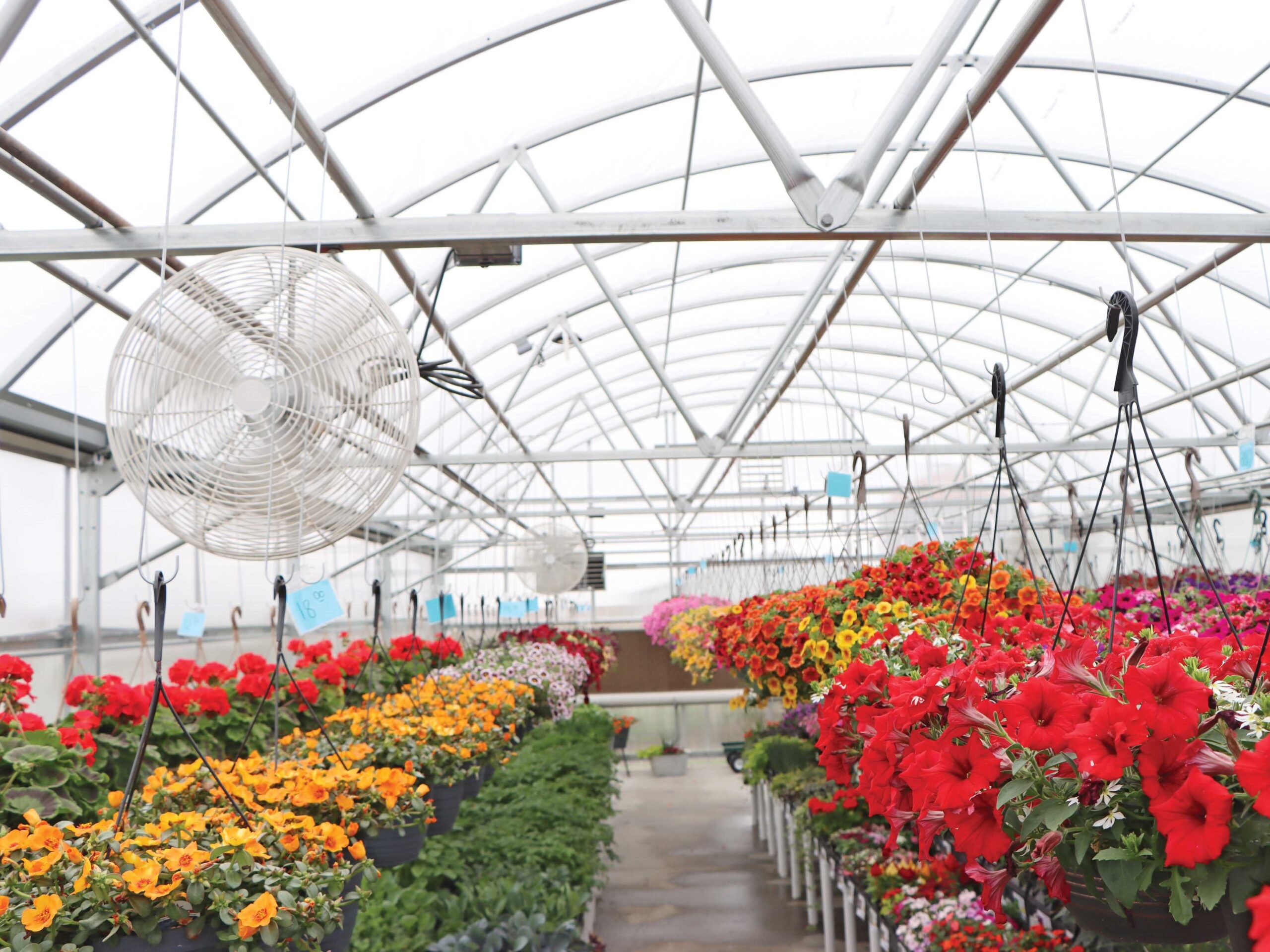 retail greenhouse with HAF fans for cooling