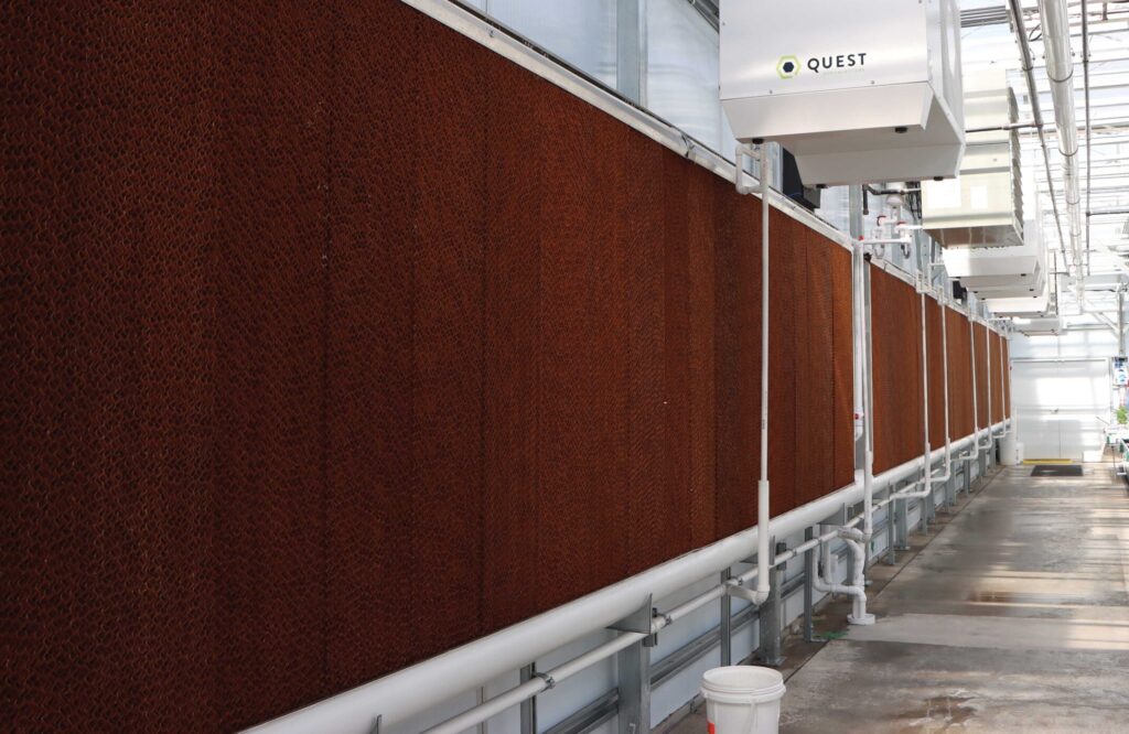 wet wall used for cooling a greenhouse