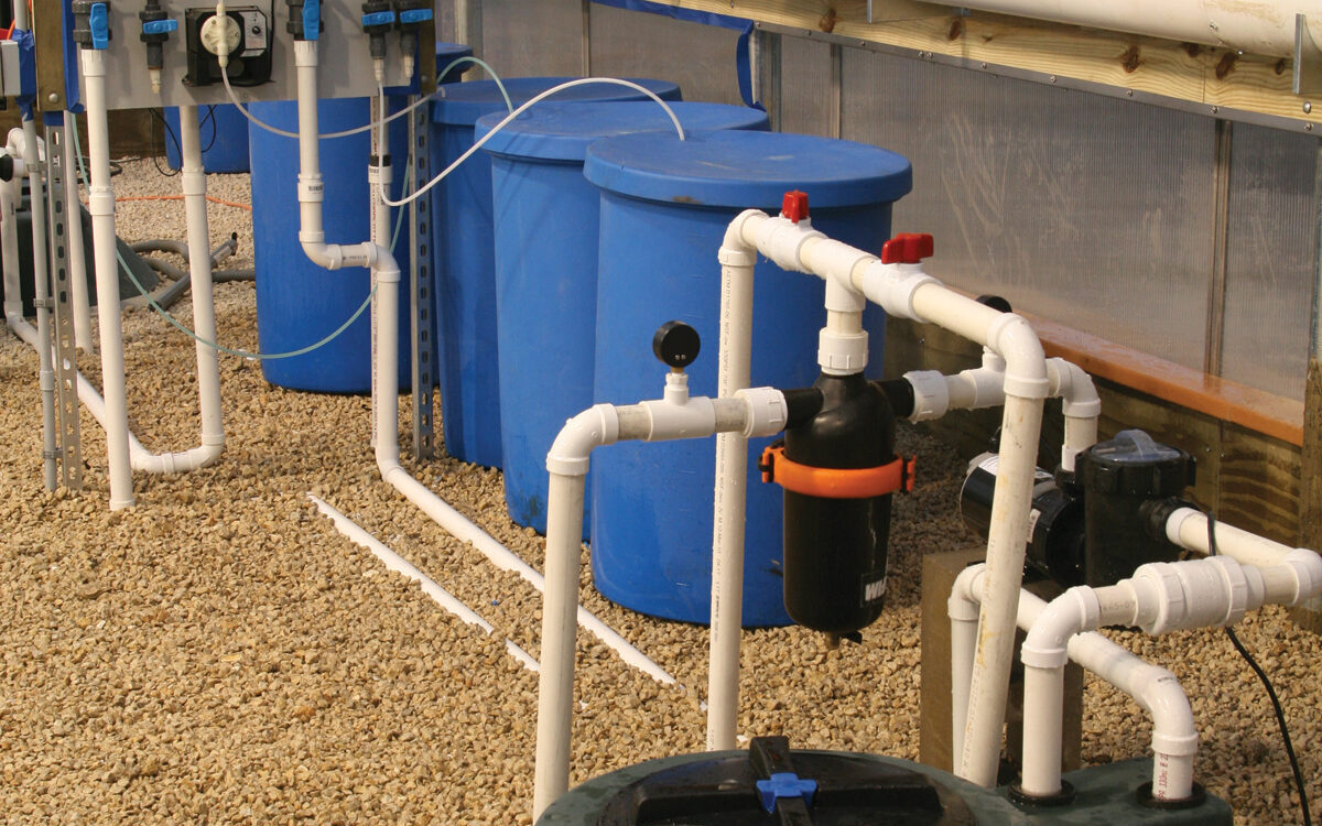 irrigation system using water filtration