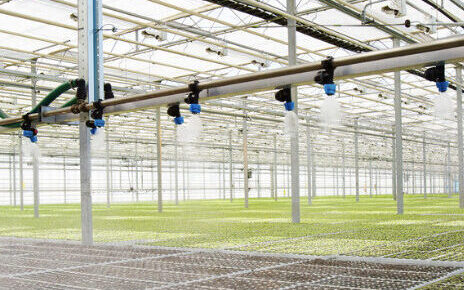 greenhouse irrigation