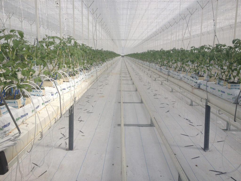 flooring inside commercial greenhouse