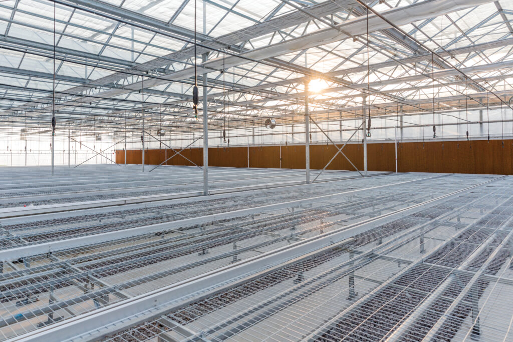 empty venlo greenhouse with sunshine