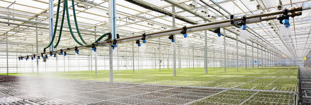 overhead greenhouse irrigation system