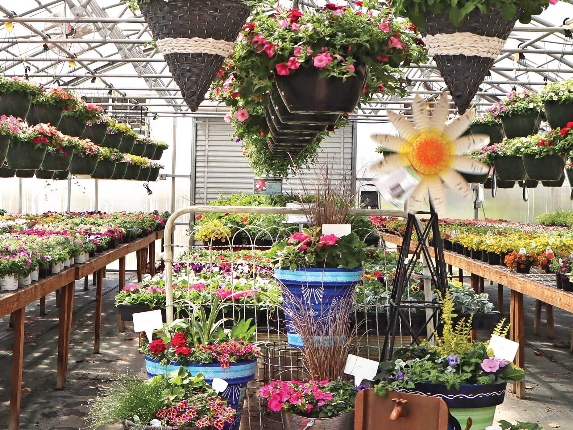 retail nursery housed inside gothic greenhouse