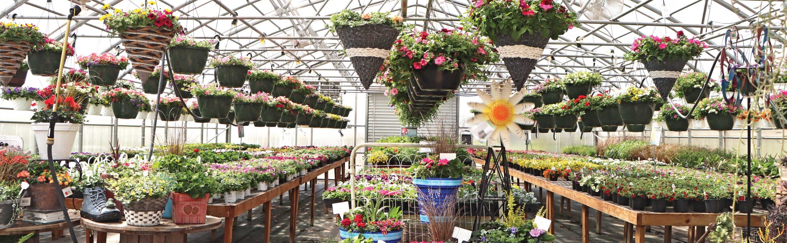 retail nursery housed inside gothic greenhouse