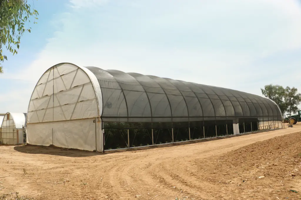 hoop house covered with shade material