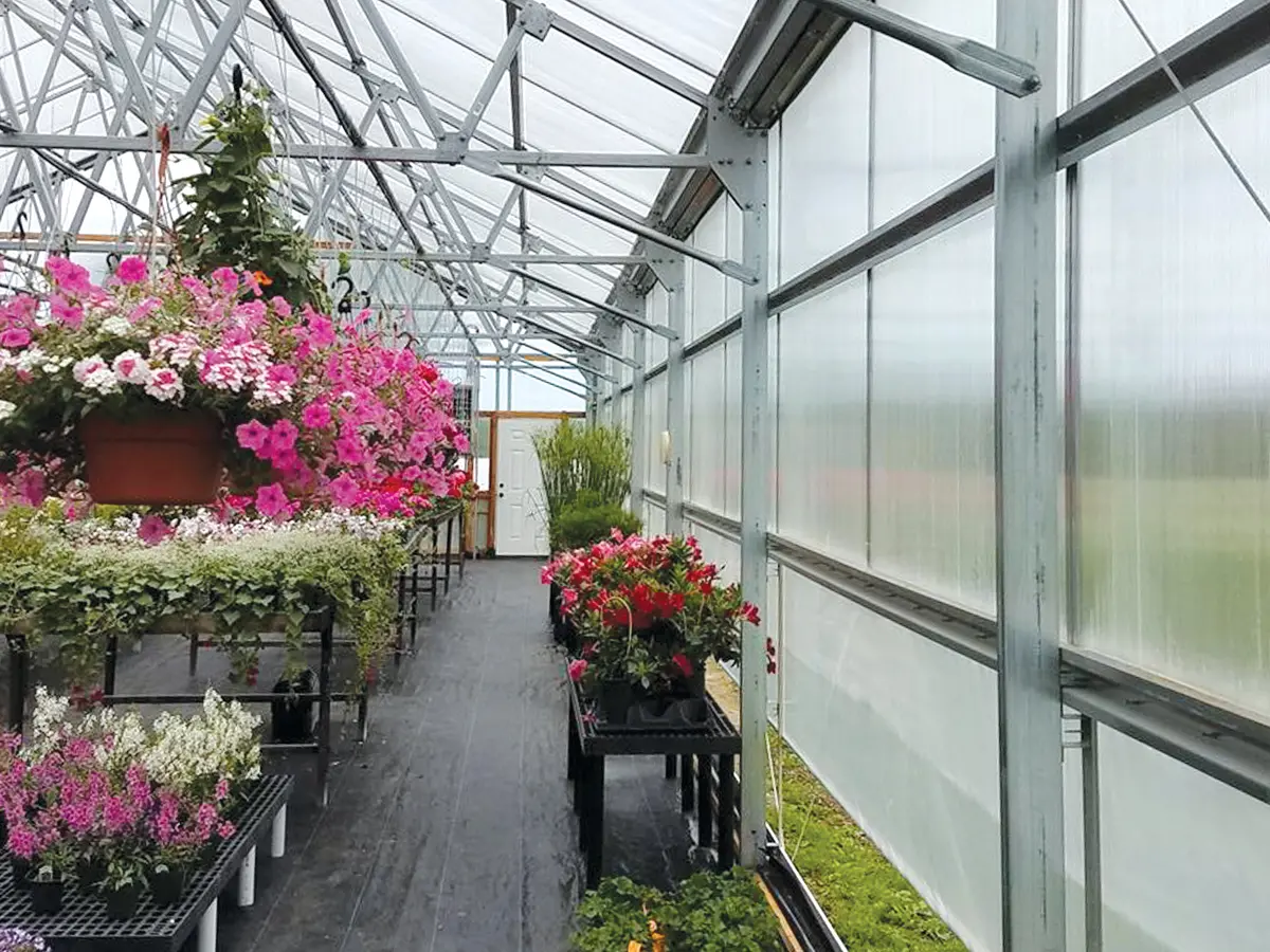 inside of greenhouse showing cladding sidewalls