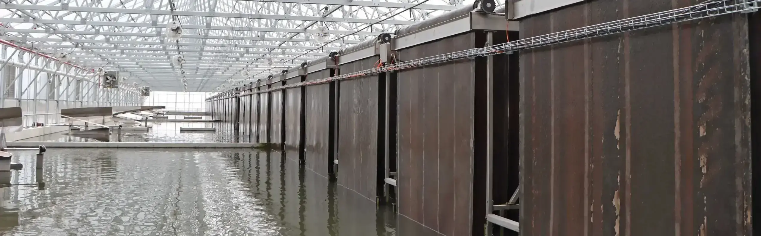 wastewater treatment system inside greenhouse at Gross-Wen Technologies