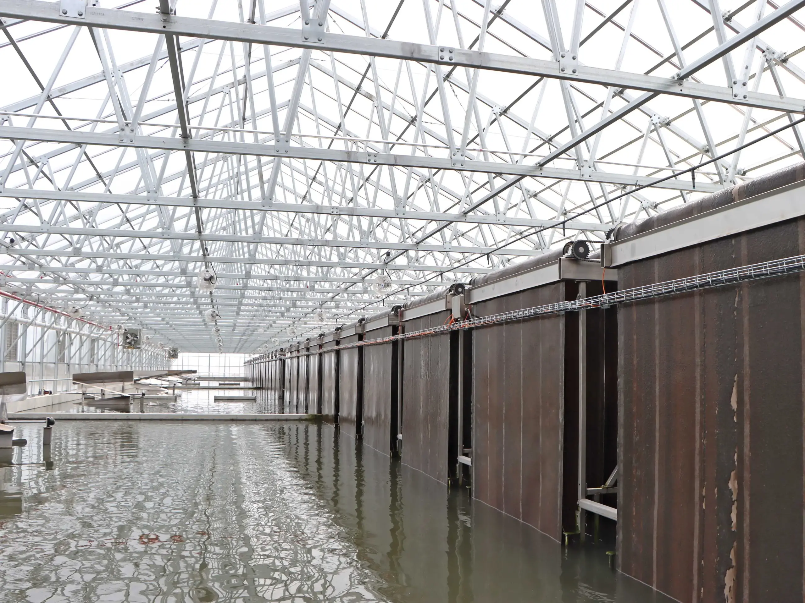 wastewater treatment system inside greenhouse at Gross-Wen Technologies