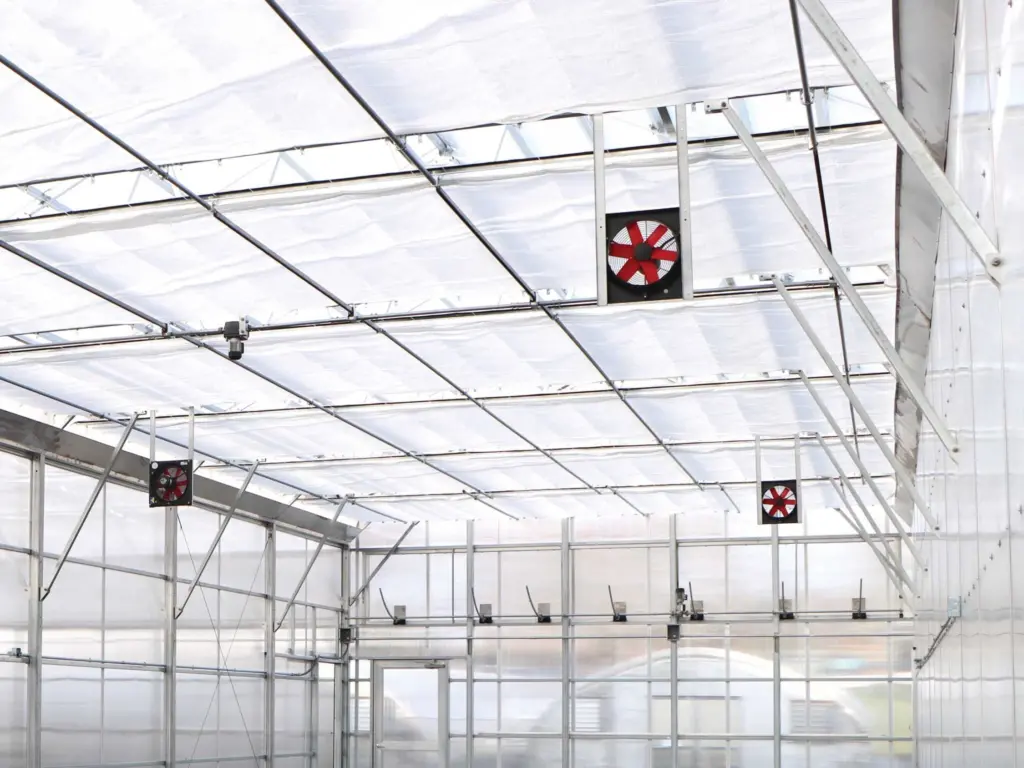 HAF fans hanging inside a commercial greenhouse