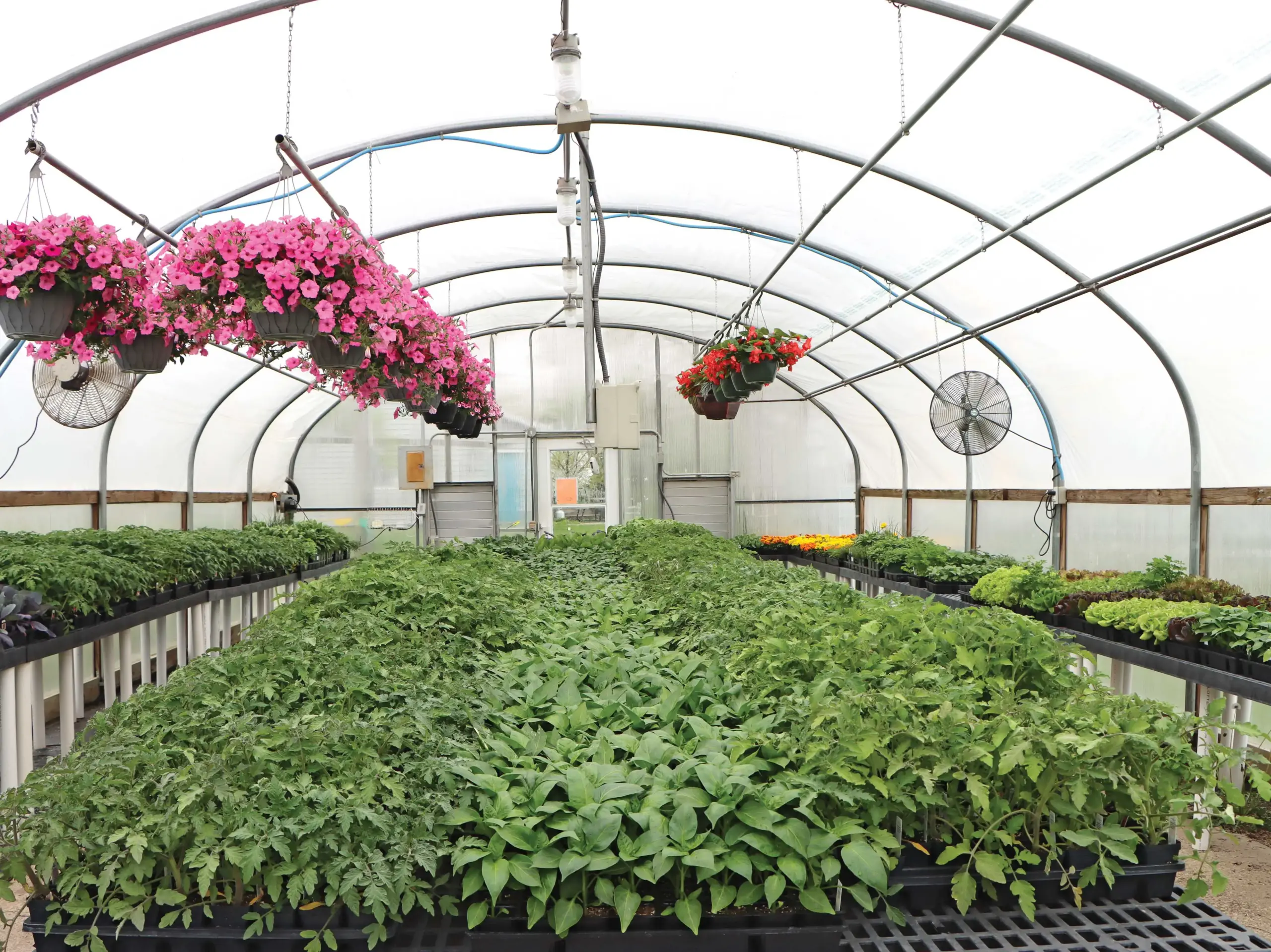 interior of round free-standing greenhouse with film cladding