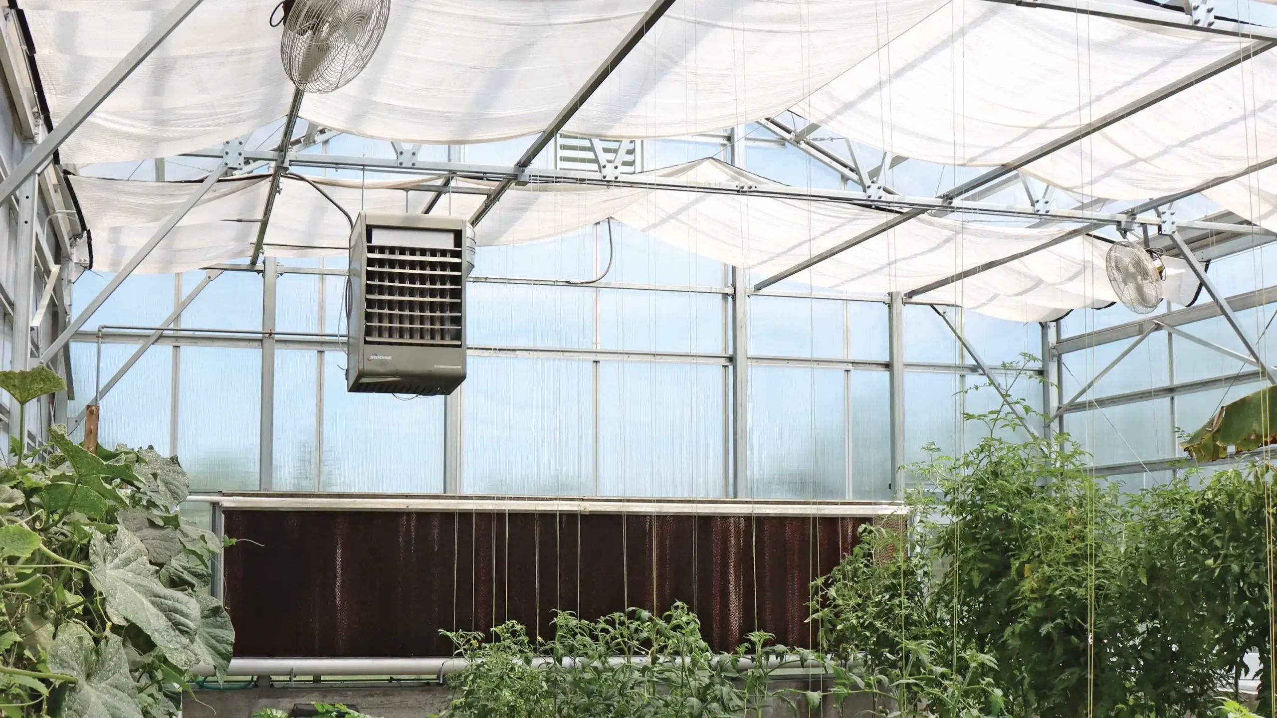 commercial greenhouse supplies in use: forced air heater, circulation fans, evaporative cooling system