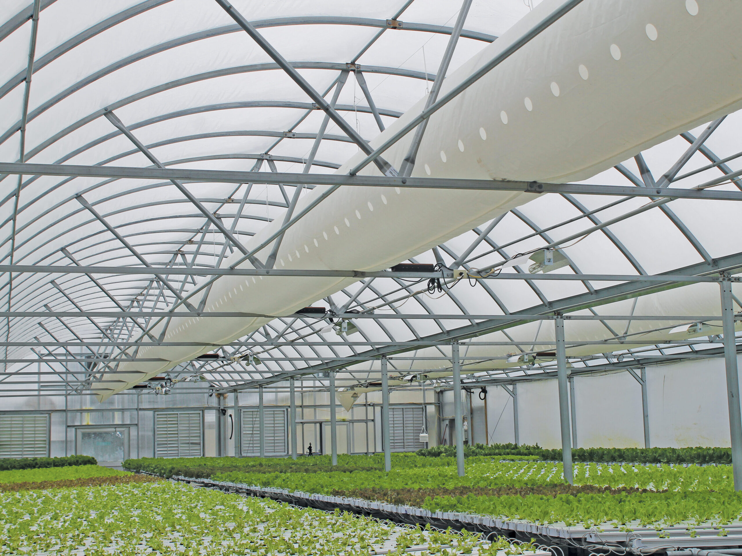 inside of greenhouse farming operation