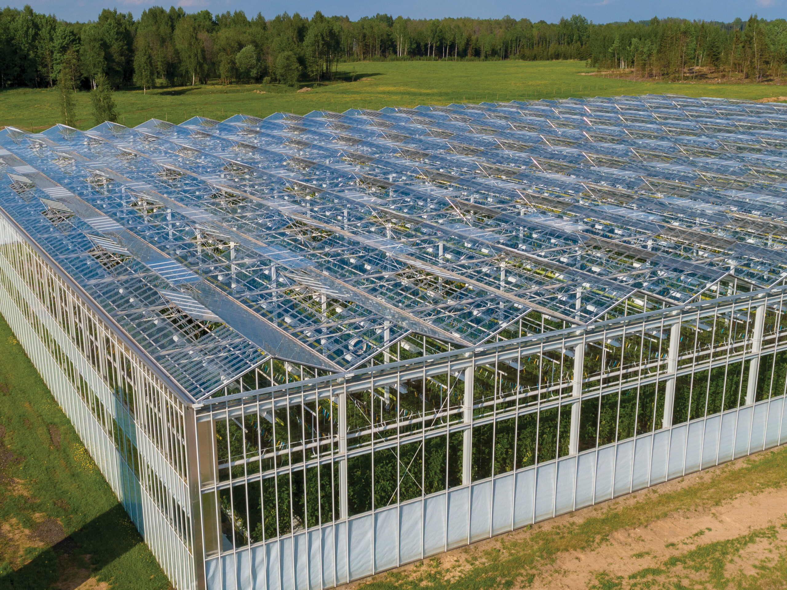 venlo structure used for greenhouse farming