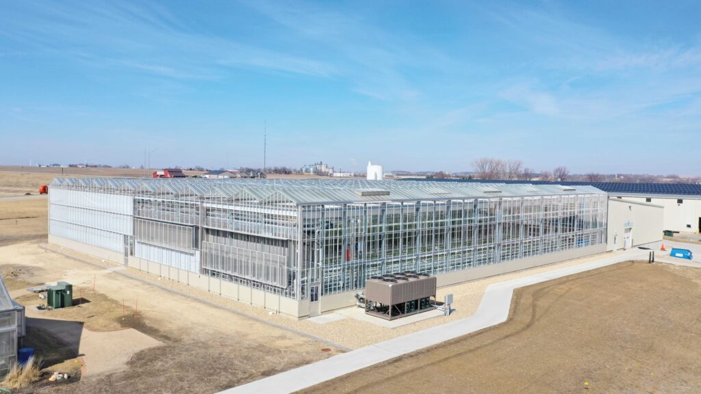 Venlo greenhouse with attached headhouse at back