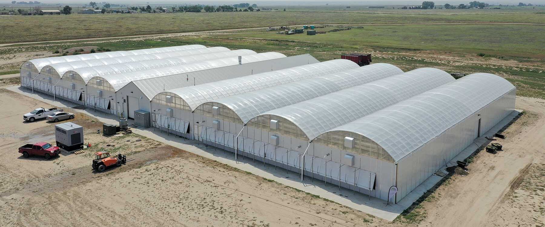 8 bay hybrid greenhouse with headhouse in middle