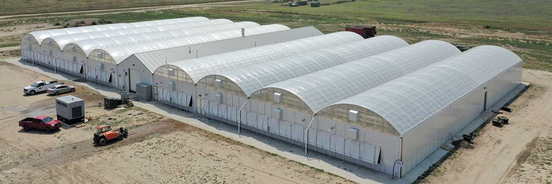8 bay hybrid greenhouse with headhouse in middle