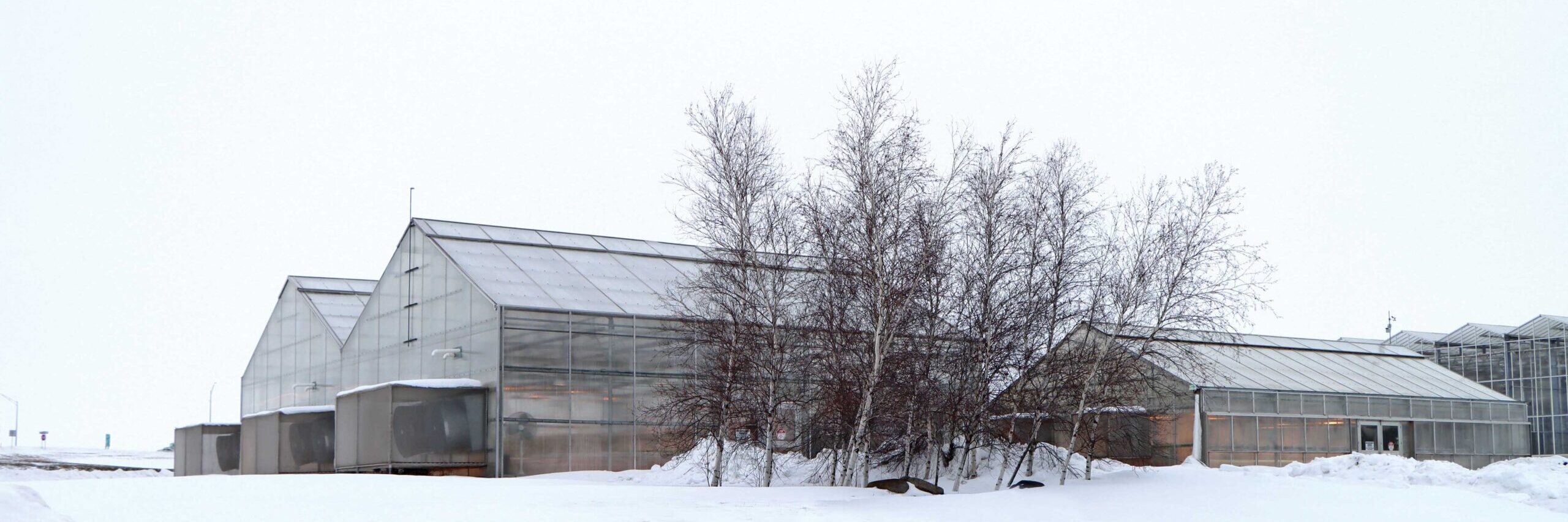 GrowSpan S2000 Greenhouses surrounded by a snowy landscape