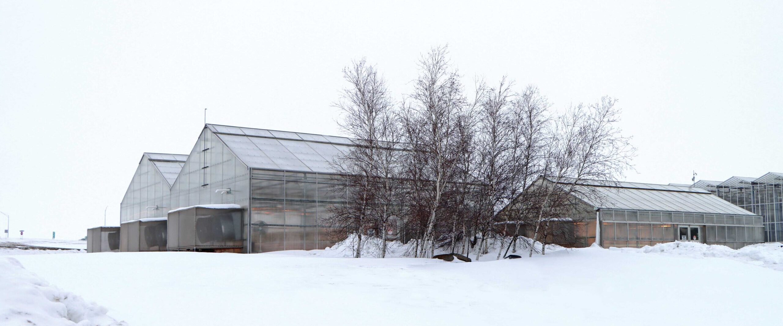 GrowSpan S2000 Greenhouses surrounded by a snowy landscape