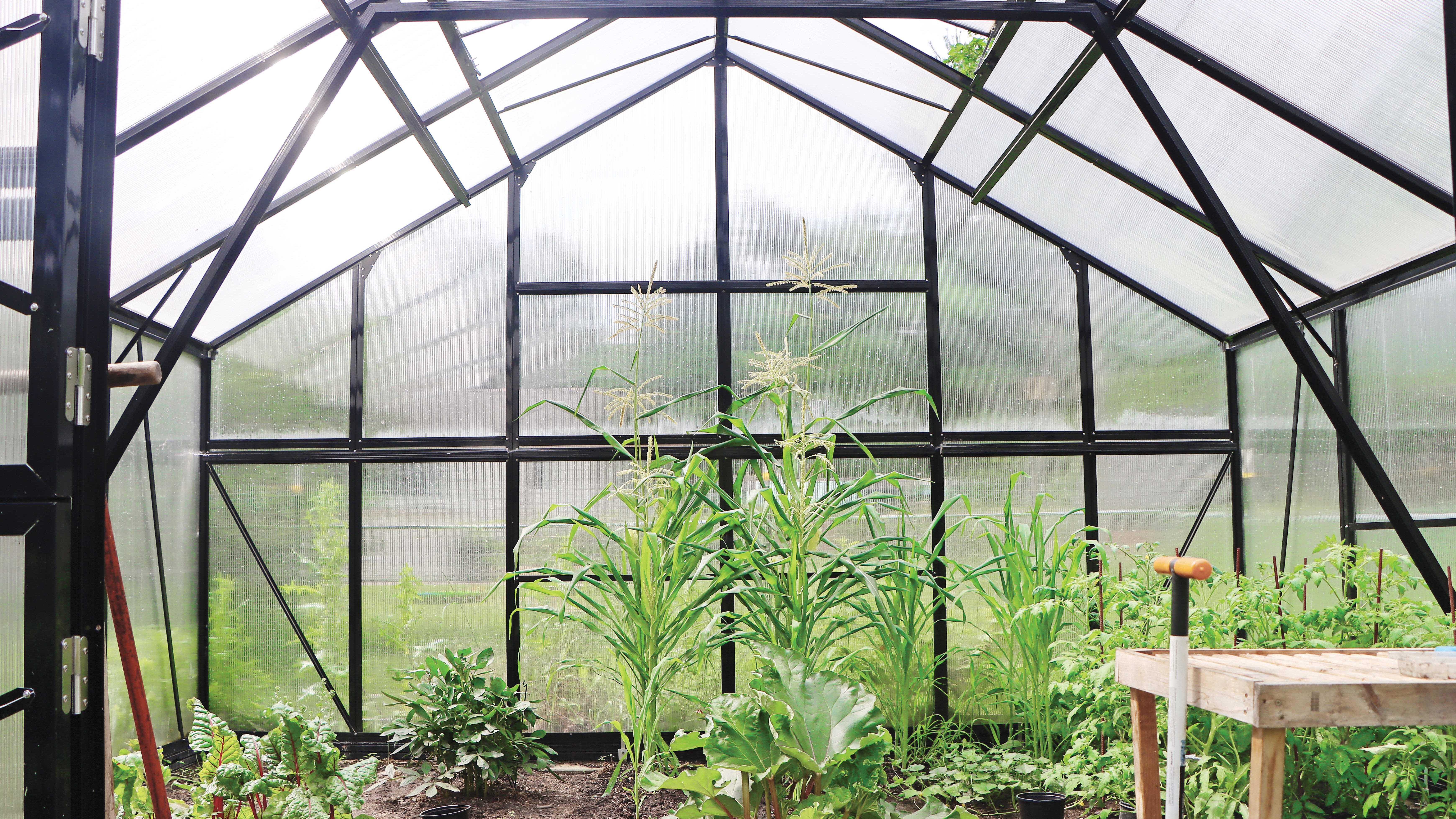 Interior of a GrowSpan Estate Deluxe Small Greenhouse