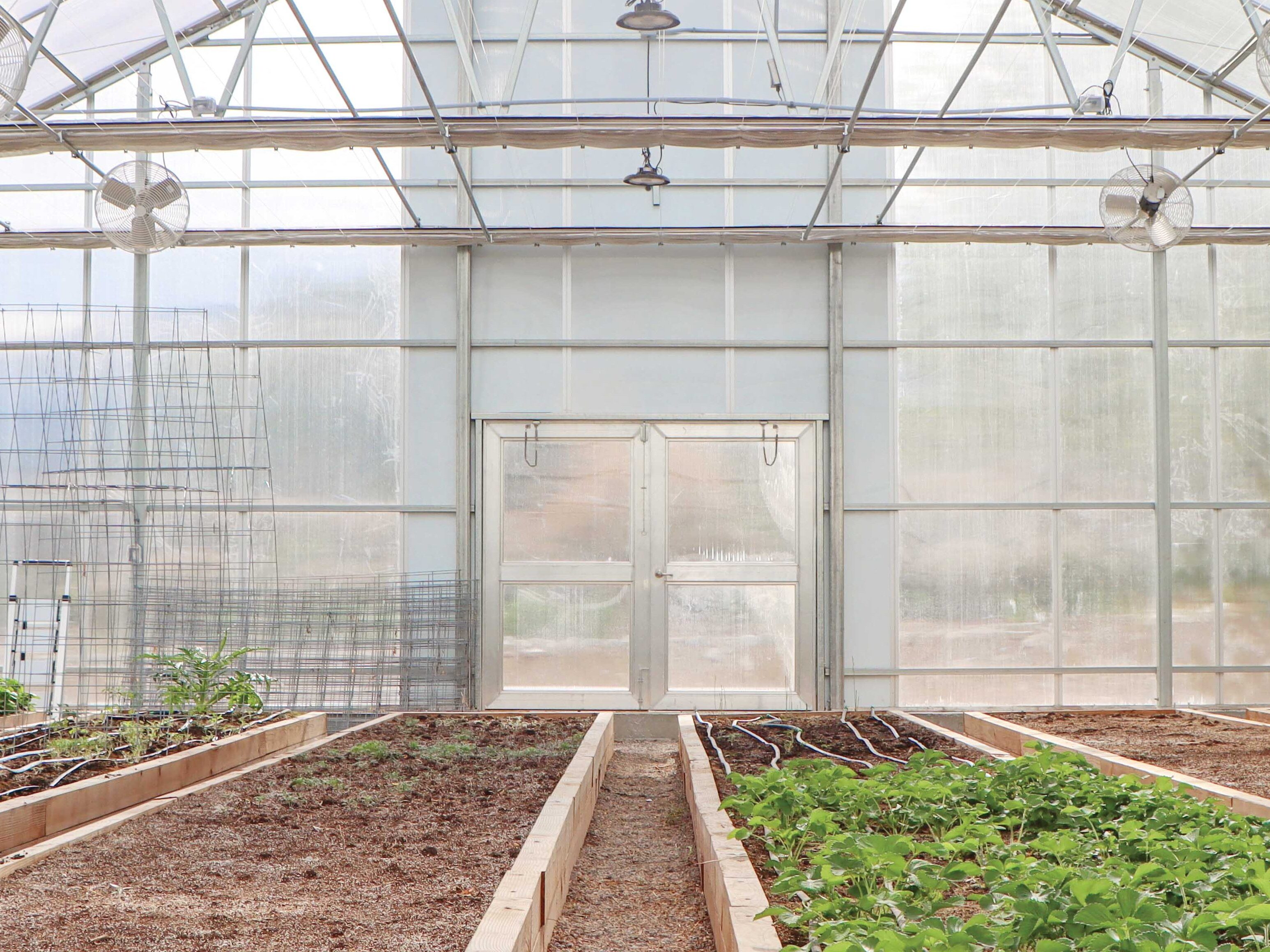 Raised beds inside a GrowSpan Series 2000 Greenhouse with drip irrigation, plants and a shade system overhead
