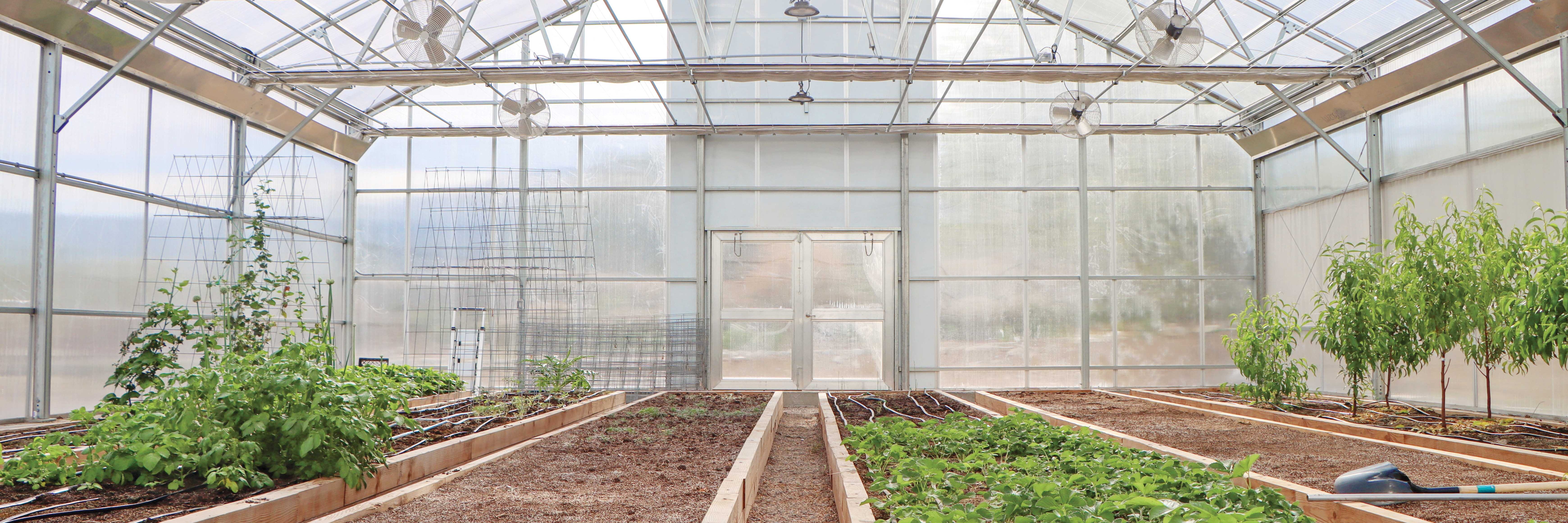 Raised beds inside a GrowSpan Series 2000 Greenhouse with drip irrigation, plants and a shade system overhead